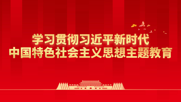 学习贯彻习近平新时代中国特色社会主义思想主题教育